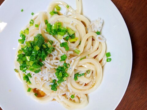 生うどんで★しらすうどん★